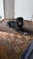 /album/12-08-2026/d05beff3-18f9-49be-ac0a-1dff836e9d0d-jpeg/