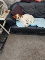 /album/nederland3/4ce02e21-aa85-4713-a2ff-6a3d222b8432-jpeg/