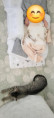 /album/29-08-20254/60d7a80d-c0cc-4c17-b34a-c03463b970fe-jpg/