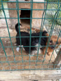 /album/64/505316231-1129362432556428-5665358996523163764-n-jpg/