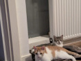 /album/15-09-20251/img-20250908-wa0026-jpg1/
