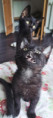/album/06-07-2026/679a8a18-cf0a-4f48-b4ff-2b9af0610e5e-jpeg/