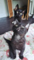 /album/06-07-2026/b3c7e91b-92b7-4c94-9df8-f322b701dff7-jpeg/